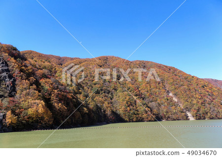 廣瀨湖在秋天 廣瀨湖在秋天 49034670