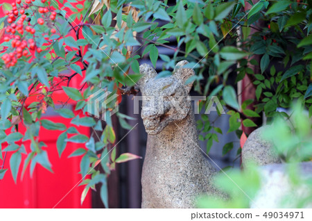 Mr. Inari-3 Mr. Inari-3 49034971