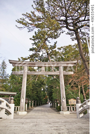 Samukawa Shrine Three Torii (Winter) 49035491