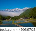Hakuba village Aoki in early summer 49036708