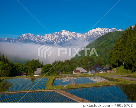 Hakuba village Aoki in early summer Hakuba village Aoki in early summer 49036708