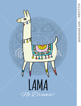 Cute lama character. Greeting card for your design Cute lama character. Greeting card for your design 49037724