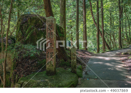 Special scenic spot San-san Gorge 49037869