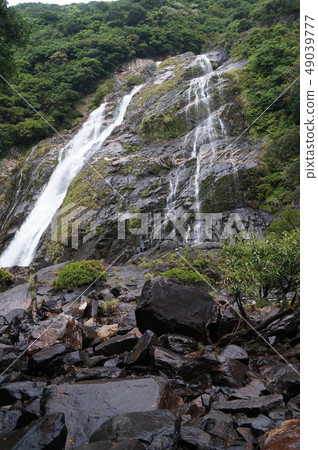 Waterfall of Yakushima Okawa Waterfall of Yakushima Okawa 49039777