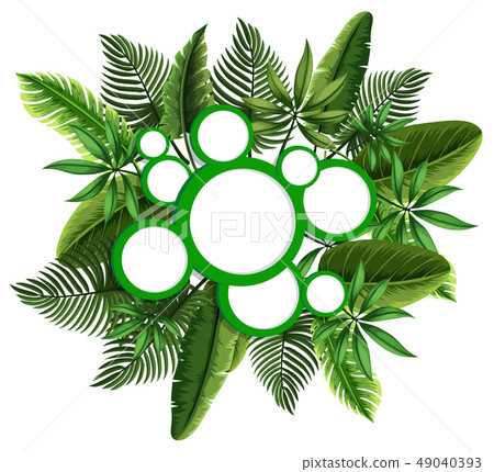 Round frames with green leaves in background - Stock Illustration ...