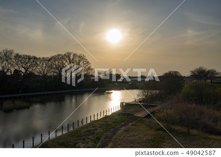 日落風景公園和漁沼澤 49042587