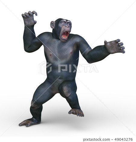 A monkey 49043276