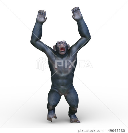 A monkey A monkey 49043280