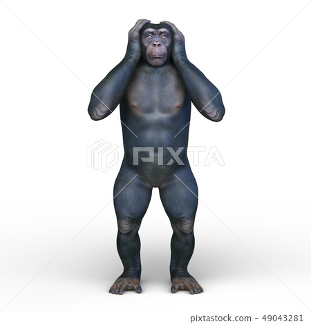 A monkey A monkey 49043281