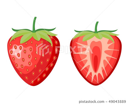 red berry strawberry and a half 49043889