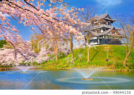 櫻花和高田公園的Mie Sakai 49044138