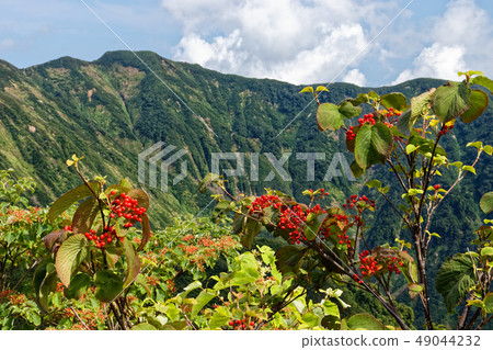 渤海Shindo居住在Mt. 49044232