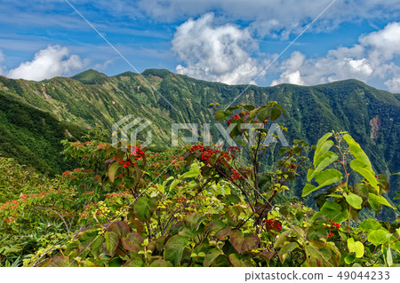 渤海Shindo居住在Mt. 渤海Shindo居住在Mt. 49044233