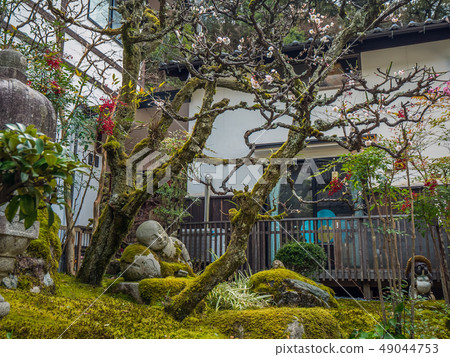 在Kagosaki Onsen的Gokuraku-ji寺廟,兵庫縣Kazuhisa Sawa的溫泉 在Kagosaki Onsen的Gokuraku-ji寺廟,兵庫縣Kazuhisa Sawa的溫泉 49044753