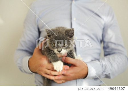 Man playing with the kitten Man playing with the kitten 49044807