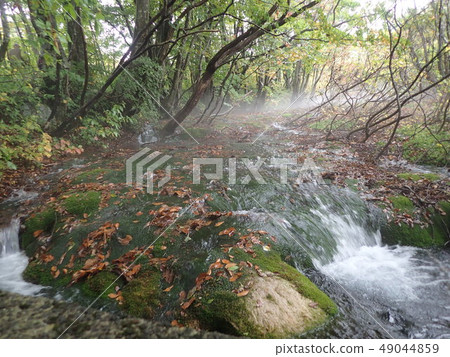 Mari Toriumi 2 49044859