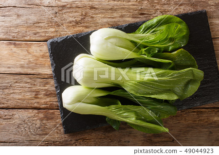 Fresh raw baby bok choy chinese cabbage Fresh raw baby bok choy chinese cabbage 49044923