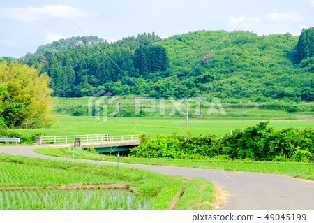 初夏的農村景觀 初夏的農村景觀 49045199