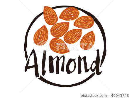 almond brush lettering 49045748