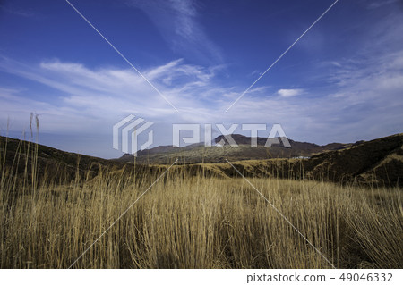 麻生太郎 49046332