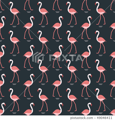 Seamless pattern with flamingo Seamless pattern with flamingo 49046411