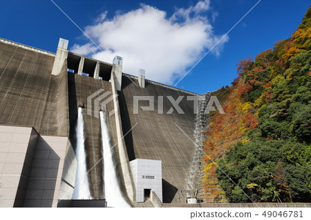 Miyagase dam sightseeing release of colored leaves 49046781