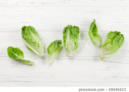 Mini romaine lettuce salad 49046823