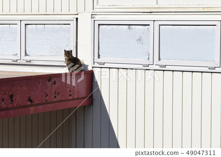 這是我的座位 這是我的座位 49047311