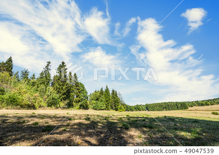 Summer landscape of a countryside valley in Summer landscape of a countryside valley in 49047539
