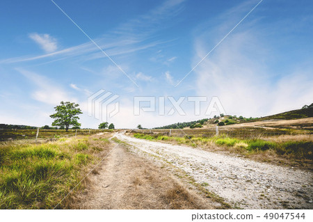 Dirt road with green grass by the roadside 49047544