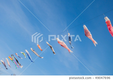 Koinobori /藍天回來 49047696
