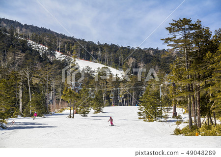 長野縣Koda Heights Miyasuki Place 49048289