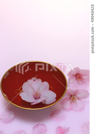 Hanami sake image No. twenty three Hanami sake image No. twenty three 49048428
