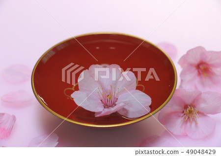 Hanami sake image No. twenty four Hanami sake image No. twenty four 49048429