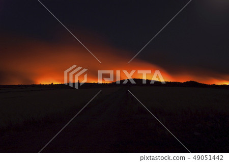 Forest fire, Pinus pinaster, Guadalajara (Spain) Forest fire, Pinus pinaster, Guadalajara (Spain) 49051442