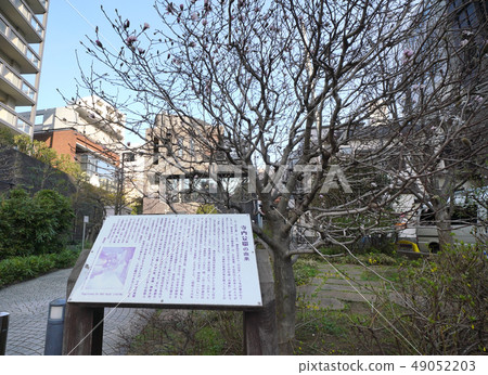 日本的東京都市風景我想看神樂坂/寺內公園等。 日本的東京都市風景我想看神樂坂/寺內公園等。 49052203