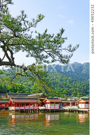 Itsukushima shrine floating in the sea Itsukushima shrine floating in the sea 49052232