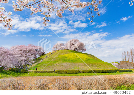 Sakitama Tumularu Maruyama Mountain Burial Mound 49053492