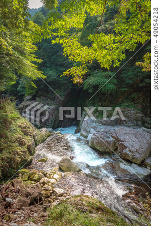 Special scenic spot San-san Gorge 49054218