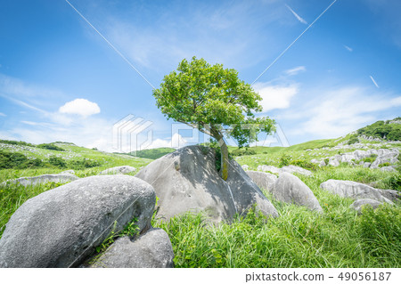 Hiraeda的風景 49056187