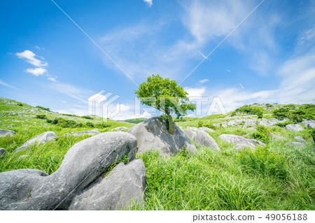 Hiraeda的風景 49056188