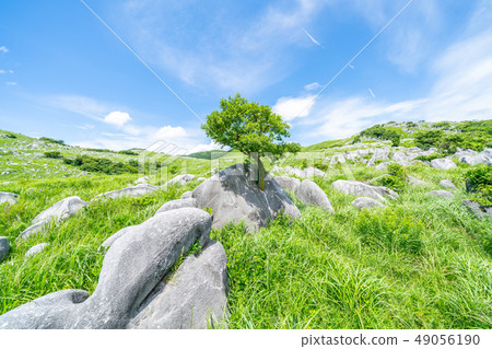 Scenery of Hiraeda 49056190