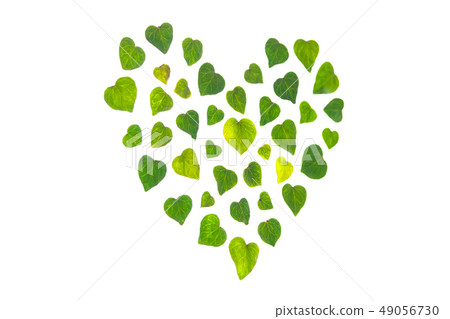 Green Heart 49056730