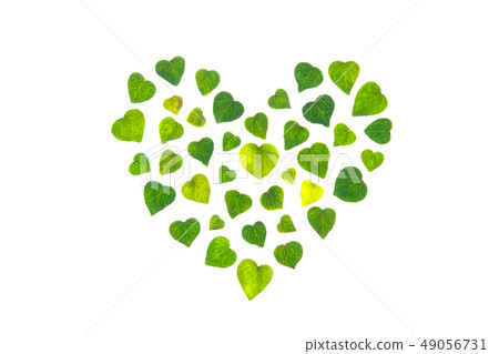 Green Heart 49056731