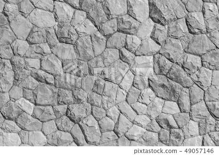 Rock pattern gray color and Mos plant of modern 49057146
