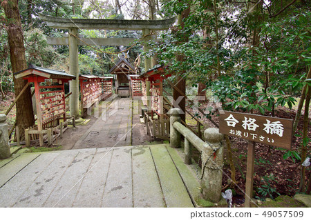 石川縣千大沙(笠原神社) 石川縣千大沙(笠原神社) 49057509