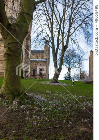 A girl runs in the distance playing in the yard of 49058499