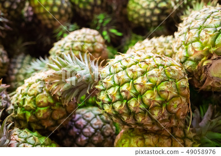 group of pineapple fruit 49058976