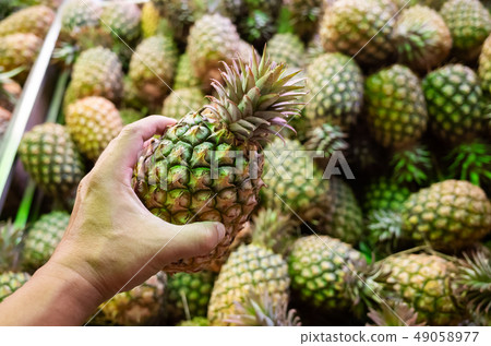 group of pineapple fruit 49058977