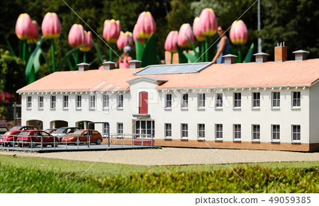 Huge tulips behind miniature house Huge tulips behind miniature house 49059385